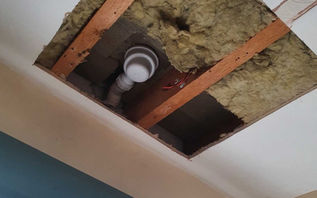 Saltash, Cornwall – Ceiling repair following a leak