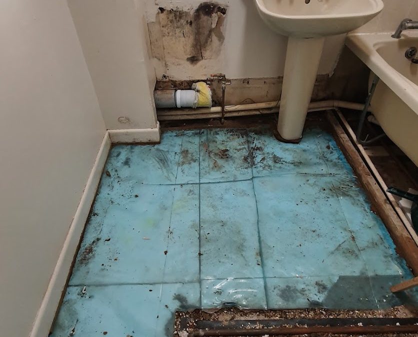 Plymouth, Devon – Leak Repair
