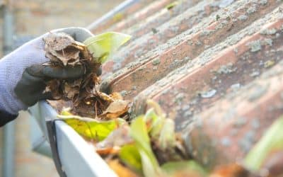 8 Common Property Maintenance Issues and How to Fix Them