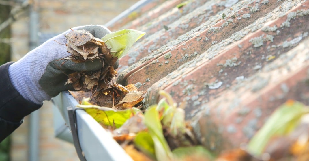 8 Common Property Maintenance Issues and How to Fix Them