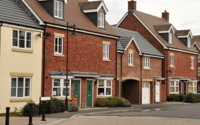 Don’t Let Your New Reading Home Hide Its Secrets: The Essential Guide to Snagging Surveys